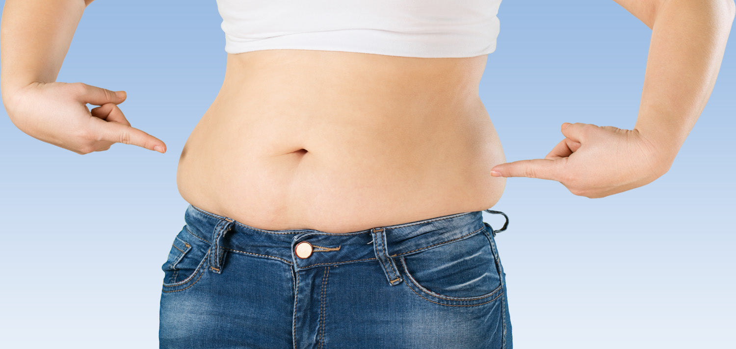 Pomy Fat Why we have tummy fat – LeeAnne Wann Health
